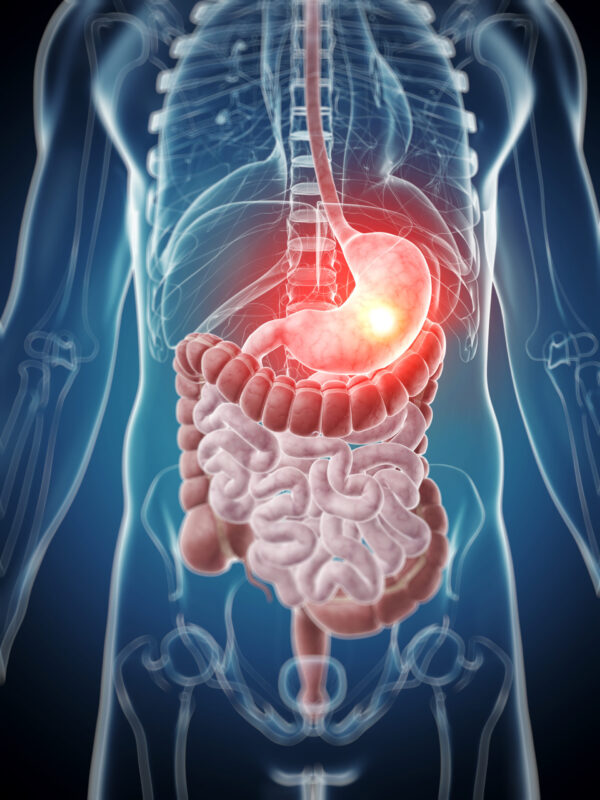 Pancreatic 200 ml - Image 2